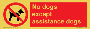PV11820: No dogs except assistance dogs