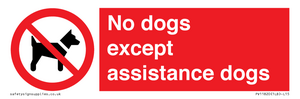 PV11820: No dogs except assistance dogs