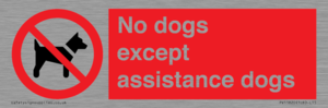 PV11820: No dogs except assistance dogs