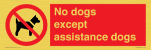 PV11820: No dogs except assistance dogs