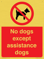PV11820: No dogs except assistance dogs
