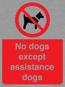 PV11820: No dogs except assistance dogs