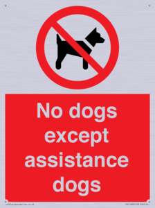PV11820: No dogs except assistance dogs