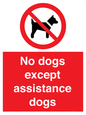 PV11820: No dogs except assistance dogs