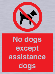 PV11820: No dogs except assistance dogs