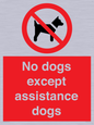 PV11820: No dogs except assistance dogs