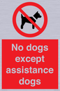 PV11820: No dogs except assistance dogs