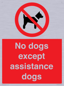 PV11820: No dogs except assistance dogs