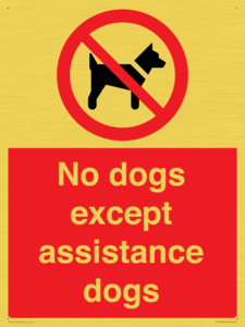 PV11820: No dogs except assistance dogs