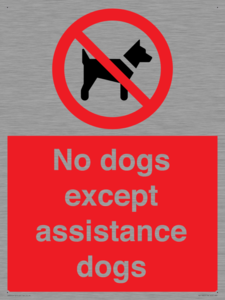 PV11820: No dogs except assistance dogs