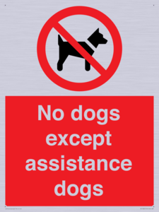 PV11820: No dogs except assistance dogs