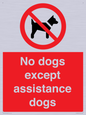PV11820: No dogs except assistance dogs