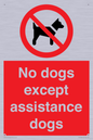 PV11820: No dogs except assistance dogs