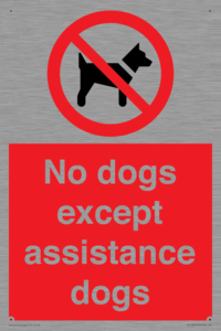 PV11820: No dogs except assistance dogs
