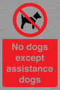 PV11820: No dogs except assistance dogs