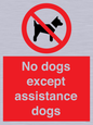 PV11820: No dogs except assistance dogs