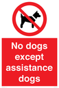 PV11820: No dogs except assistance dogs