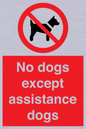 PV11820: No dogs except assistance dogs