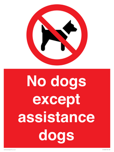 PV11820: No dogs except assistance dogs
