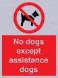 PV11820: No dogs except assistance dogs
