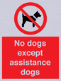 PV11820: No dogs except assistance dogs