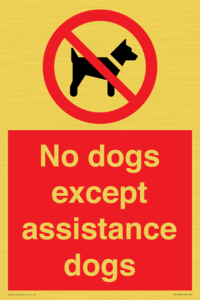 PV11820: No dogs except assistance dogs