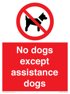 PV11820: No dogs except assistance dogs