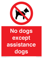 PV11820: No dogs except assistance dogs