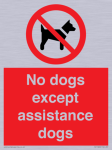 PV11820: No dogs except assistance dogs