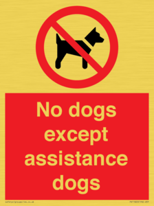 PV11820: No dogs except assistance dogs