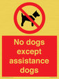 PV11820: No dogs except assistance dogs