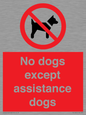 PV11820: No dogs except assistance dogs