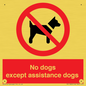 PV11820: No dogs except assistance dogs