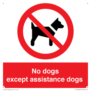 PV11820: No dogs except assistance dogs