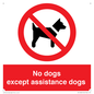 PV11820: No dogs except assistance dogs