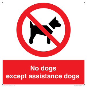 PV11820: No dogs except assistance dogs