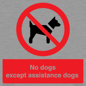 PV11820: No dogs except assistance dogs
