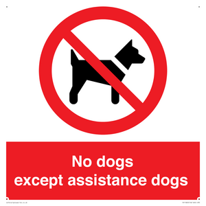 PV11820: No dogs except assistance dogs