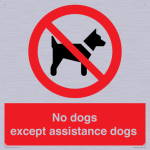 PV11820: No dogs except assistance dogs