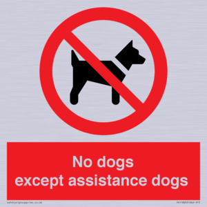 PV11820: No dogs except assistance dogs