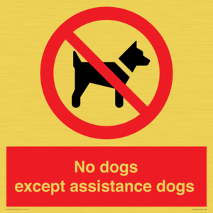 PV11820: No dogs except assistance dogs