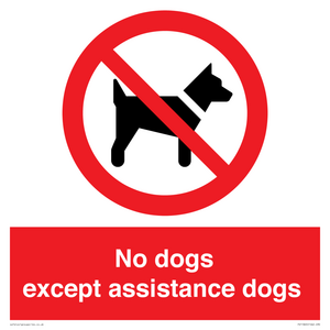 PV11820: No dogs except assistance dogs