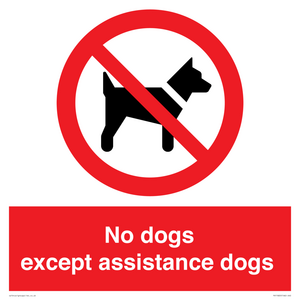 PV11820: No dogs except assistance dogs