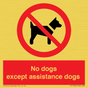 PV11820: No dogs except assistance dogs
