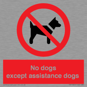 PV11820: No dogs except assistance dogs