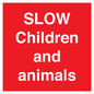 PV12020: SLOW Children and animals