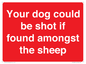 PV12026: Your dog could be shot if found amongst the sheep