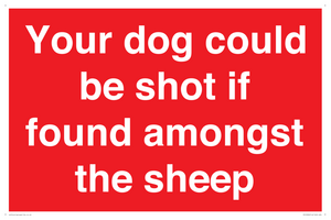 PV12026: Your dog could be shot if found amongst the sheep