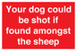 PV12026: Your dog could be shot if found amongst the sheep