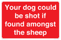 PV12026: Your dog could be shot if found amongst the sheep